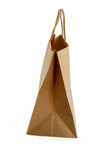 HEAVY DUTY PAPER TWIST HANDLE BAG