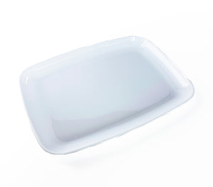 Plastic Rectangular Food Platter